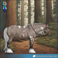 Horse Color:White Spotted Silver Brown Dun Tobiano Appaloosa
