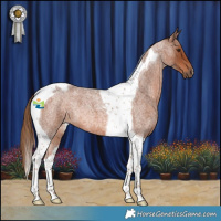 Horse Color:Red Roan Tobiano 
