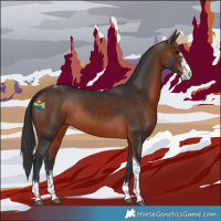 Horse Color:Brown Sabino Tobiano 