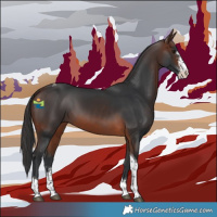 Horse Color:Brown Sabino Tobiano 