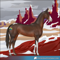 Horse Color:Liver Chestnut Sabino Tobiano 