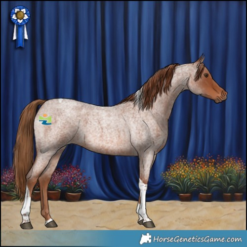 Horse Color:Red Roan Tobiano 