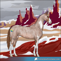 Horse Color:Red Roan Sabino 