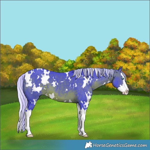 Horse Color:Watercolor White Spotted Silver Brown Splash 