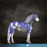 Horse Color:Watercolor White Spotted Silver Brown Splash
