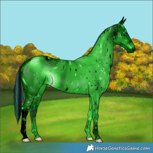 Horse Color:ERROR: UNKNOWN ANOMALY