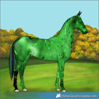 Horse Color:ERROR: UNKNOWN ANOMALY