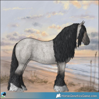 Horse Color:Grullo Roan Tobiano 