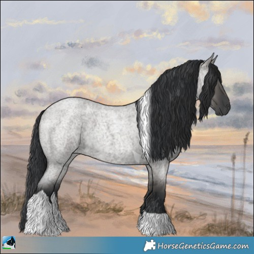 Horse Color:Grullo Roan Tobiano