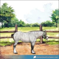 Horse Color:Buckskin Roan Sabino