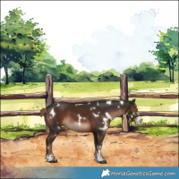 Horse Color:White Spotted Liver Chestnut Sabino 