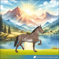 Horse Color:White Spotted Liver Red Dun 