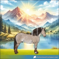 Horse Color:White Spotted Liver Red Dun 