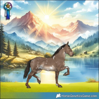Horse Color:White Spotted Liver Red Dun