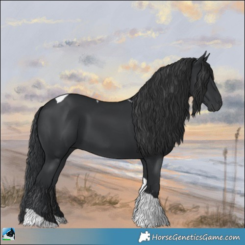 Horse Color:Black Tobiano