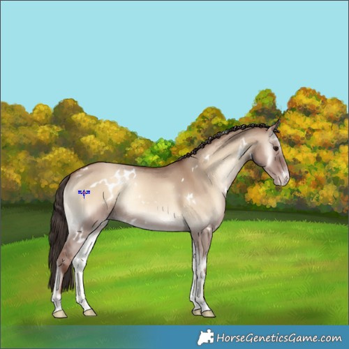 Horse Color:White Spotted Classic Champagne Onyx Rabicano 