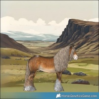 Horse Color:Chocolate Palomino Sabino Tobiano