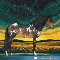 Horse Color:White Spotted Buckskin 