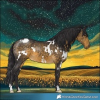 Horse Color:White Spotted Buckskin 