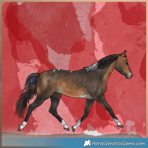 Horse Color:Buckskin Tobiano 