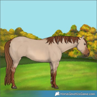 Horse Color:Red Dun 