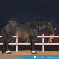 Horse Color:Buckskin 