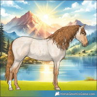Horse Color:Red Dun Roan 