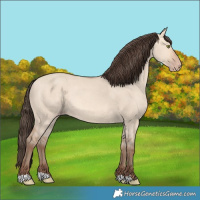 Horse Color:Amber Champagne Dun 