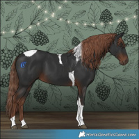 Horse Color:Liver Chestnut Tobiano 