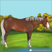 Horse Color:Silver Brown