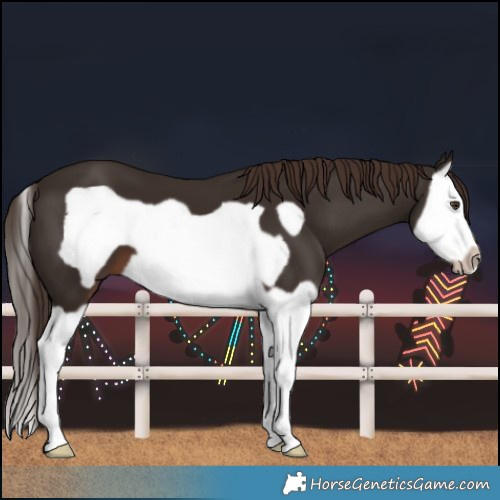 Horse Color:Liver Chestnut Splash Frame 