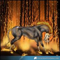 Horse Color:Smoky Grullo Varnish and Buckskin Varnish