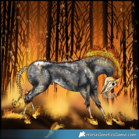 Horse Color:Smoky Black Ice Appaloosa