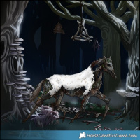 Horse Color:Bay Dun Tobiano Near Leopard 