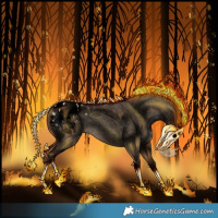 Horse Color:Void Brown Pearl Dun Tobiano Appaloosa 