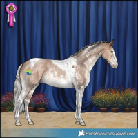 Horse Color:Silver Brown Dun Sabino Tobiano