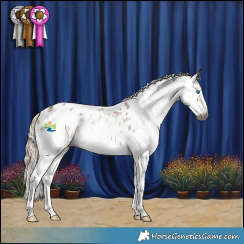 Horse Color:Gray White Spotted Chocolate Palomino Splash Appaloosa 