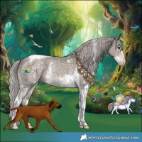 Horse Color:Silver Grullo Mushroom Sabino Tobiano