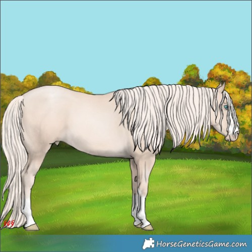 Horse Color:Gold Cream Champagne Pearl 