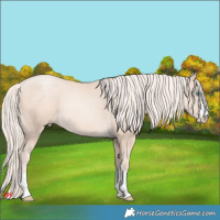 Horse Color:Gold Cream Champagne Pearl 
