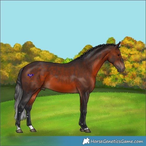 Horse Color:Brown 