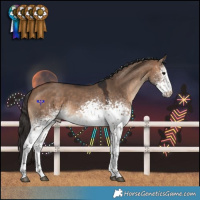 Horse Color:White Spotted Bay Dun 