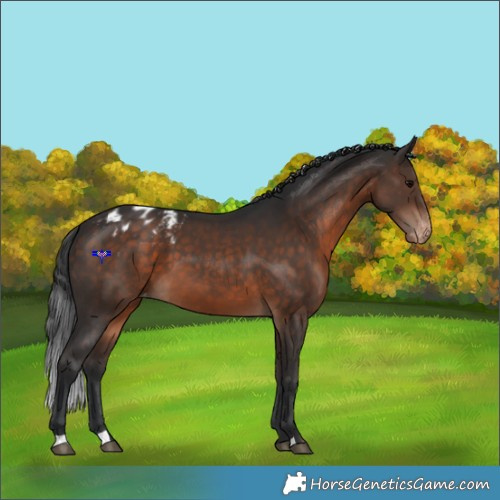Horse Color:Brown Varnish 