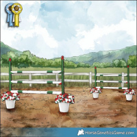 Horse Color:Grullo Tobiano Appaloosa Rabicano