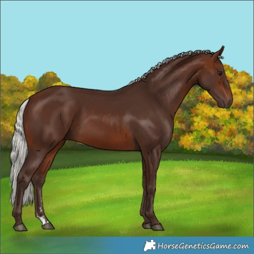 Horse Color:Silver Brown