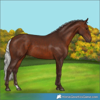 Horse Color:Silver Brown 