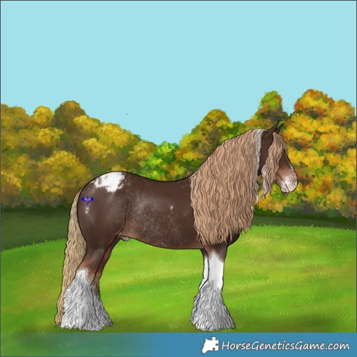 Horse Color:Liver Chestnut Sabino Tobiano Appaloosa Rabicano 