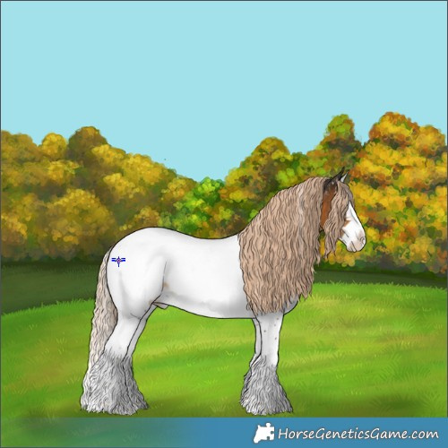 Horse Color:Chocolate Palomino Sabino Splash Appaloosa Rabicano 