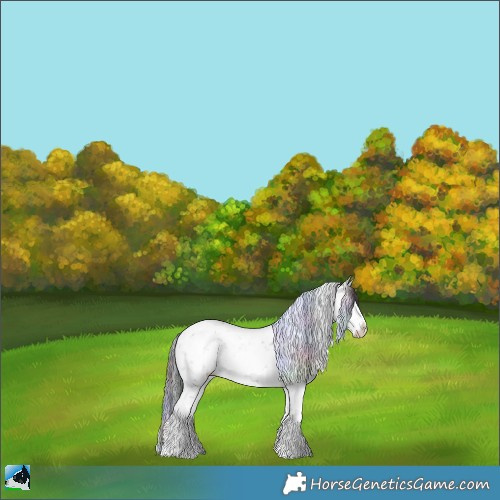 Horse Color:Nacre Brown Ice Sabino Rabicano 