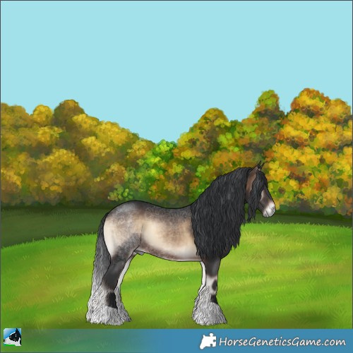 Horse Color:Brown Onyx Rabicano 